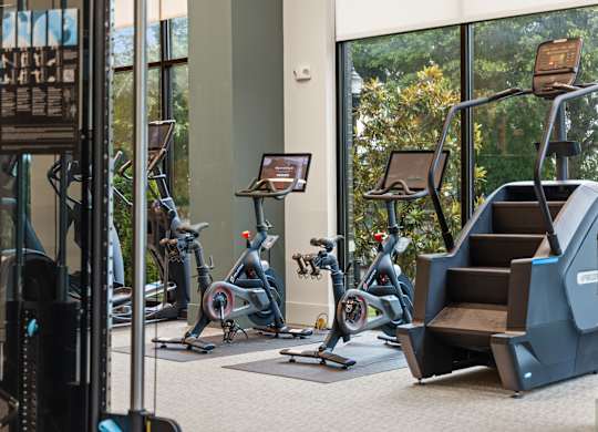 A gym with exercise equipment and a window showing trees.
