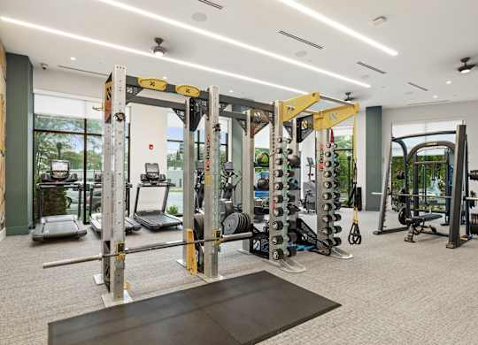 A gym with a variety of equipment including a squat rack, bench press, and a rowing machine.