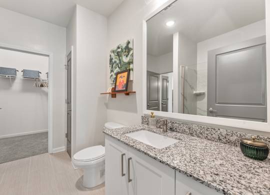 A bathroom with a toilet, sink, and mirror.