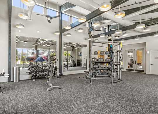 A gym with a variety of equipment including weights and cardio machines.