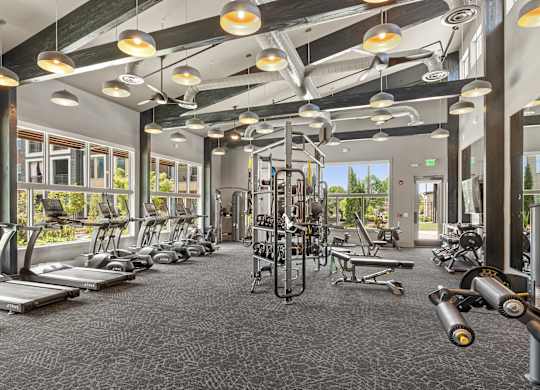 A gym with a variety of equipment including treadmills, weights, and exercise machines.