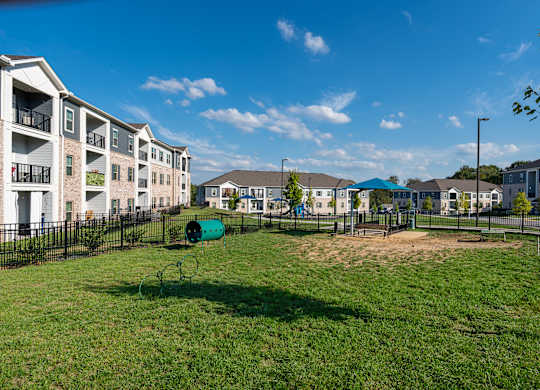 A playground with a green slide and a green barrel in the middle of a grassy area.