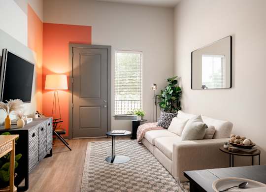 A living room with a grey sofa, a black table, a television, a plant, and a rug.