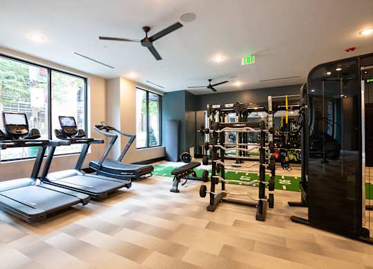 a gym with cardio machines and weights on a checkered floor