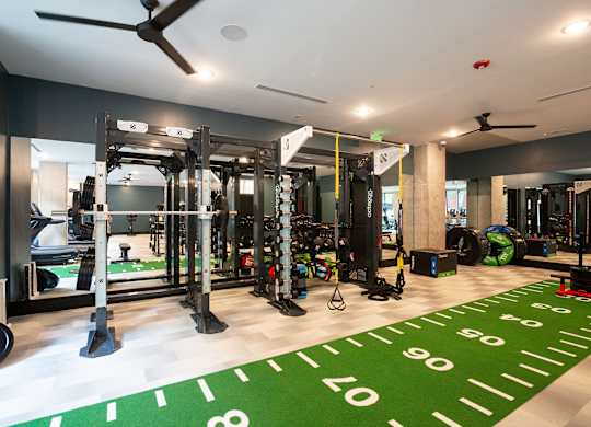 a gym with weights machines and a green rug on the floor