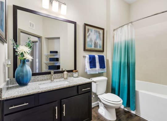 Vaughan Model Master Bath