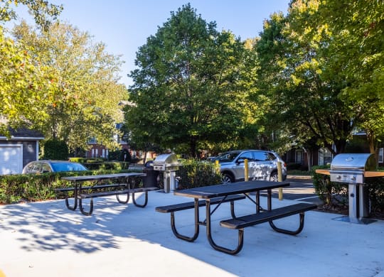 a picnic area with benches and picnic tables