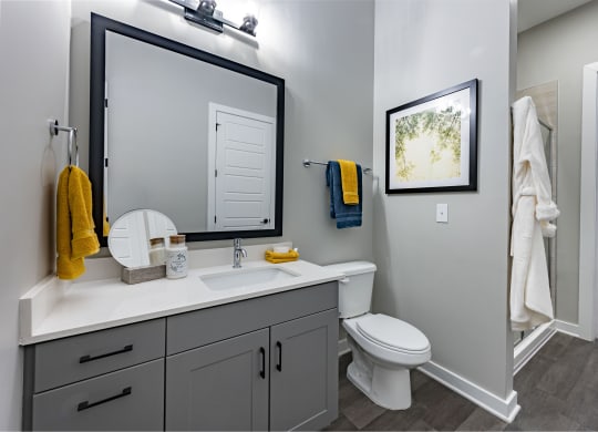 a bathroom with a mirror and a toilet and a sink