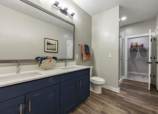 a bathroom with a sink and a toilet and a shower