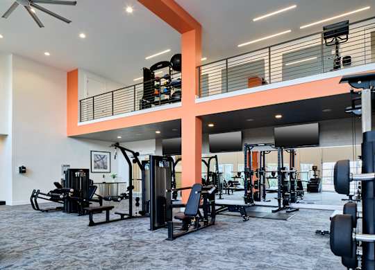 A gym with a variety of equipment including weights and cardio machines.