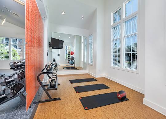 A gym with a row of exercise mats and a row of dumbbells.