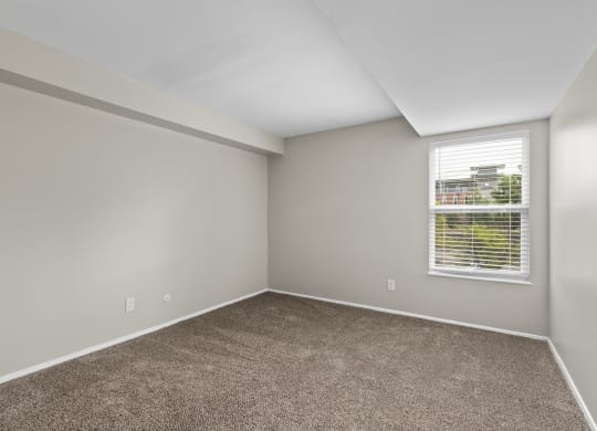 Bedroom with gray walls and carpet at Creve Coeur, Creve Coeur, MO