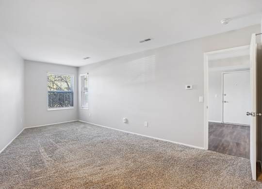 A spacious room with a carpeted floor and a door on the right side.