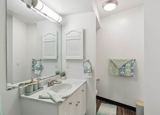 A bathroom with a sink, mirror, and towel rack. at Millennium at Creve Coeur, Missouri