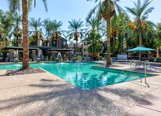 A large swimming pool surrounded by palm trees and lounge chairs at Sweetwater At Metro North Apartments, Phoenix, Arizona