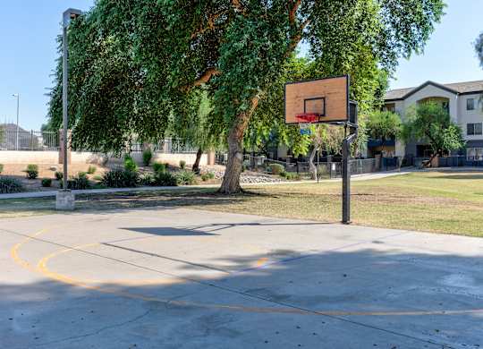 A basketball court with a hoop and a tree in the background at Sweetwater At Metro North Apartments, Arizona 85029