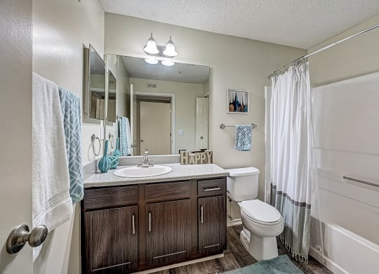 Full Bathroom at St. Johns Forest Apartments, Jacksonville, 32277