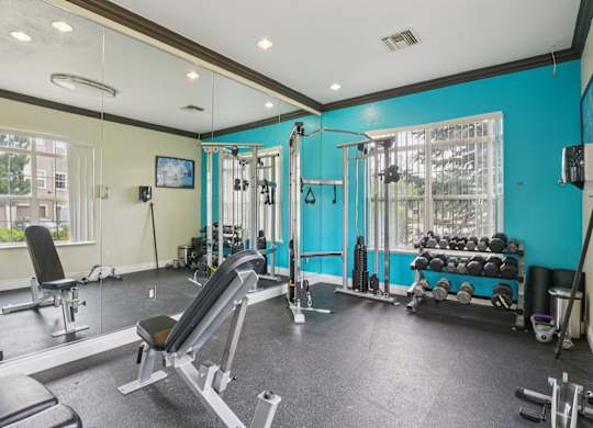 A gym with a variety of equipment including weights and a bench.