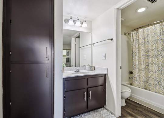A bathroom with a dark brown door and a white sink.