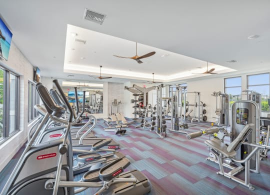a gym with cardio machines and weights on the floor and windows at Edge75, Naples, Florida 34104