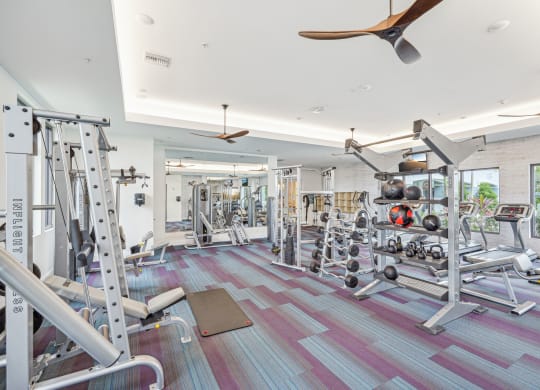 a gym with weights and a ceiling fan at Edge75, Naples, Florida 34104