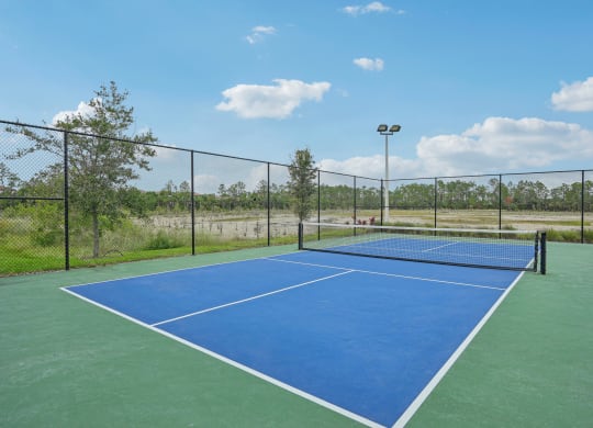 a blue and green tennis court with a fence around it at Edge75, Naples, Florida 34104