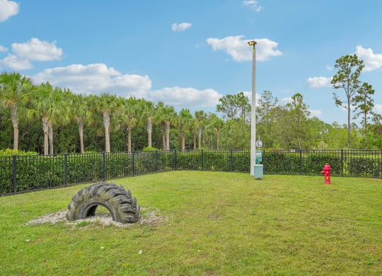 a tire in a field with a fire hydrant and a pole at Edge75, Naples, Florida 34104