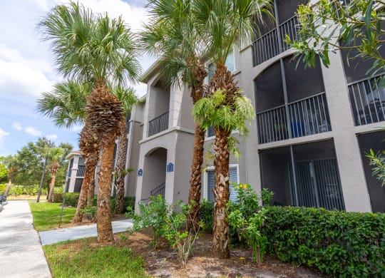 an apartment building with palm trees in front of it at Heritage Bay, Florida, 34957