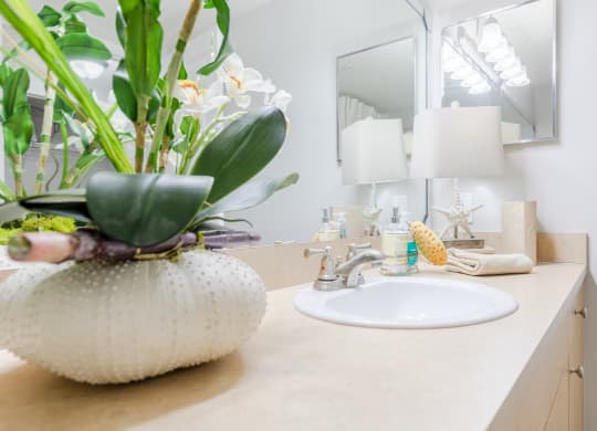a bathroom with a sink and a mirror at Heritage Bay, Jensen Beach, FL