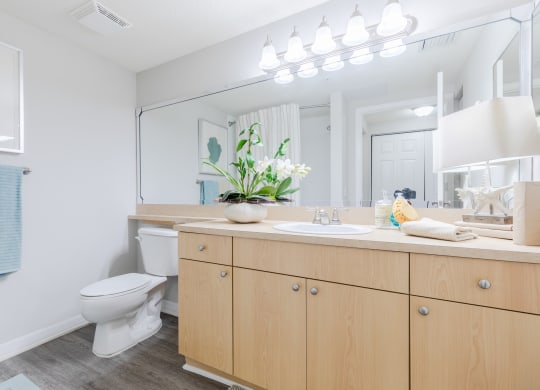 a bathroom with a toilet sink and mirror at Heritage Bay, Jensen Beach Florida