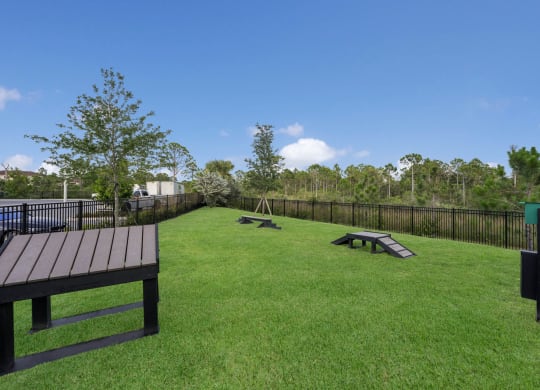 Dog park at AxisOne, Florida, 34994