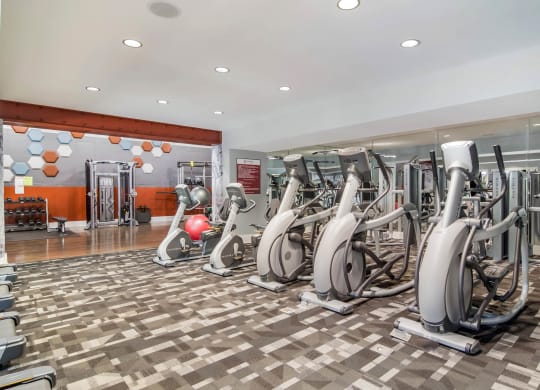 Fitness Center with Cardio Machines at Canopy Glen, Georgia