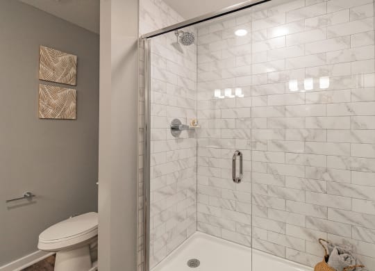 Bathroom Shower at Edge75, Florida