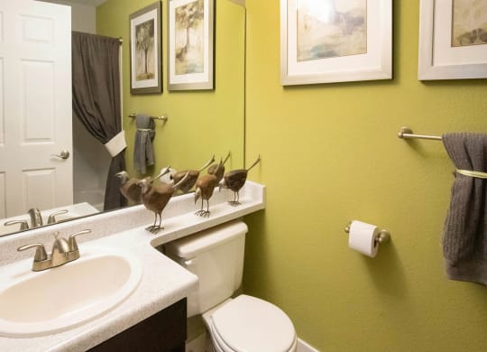 Luxurious Bathroom at Heritage at Hidden Creek, Colorado