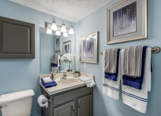 Bathroom with Vanity at Sanford Landing Apartments, FL 32771