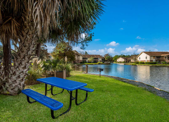 Lakeside Picnic Area at Sanford Landing Apartments, Sanford, Florida