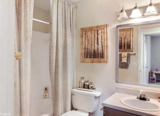 Luxurious Bathroom at Sarasota South, Florida