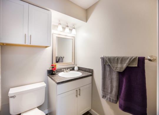 Bathroom with a toilet sink and mirror at Windmill Apartments, Colorado, 80916