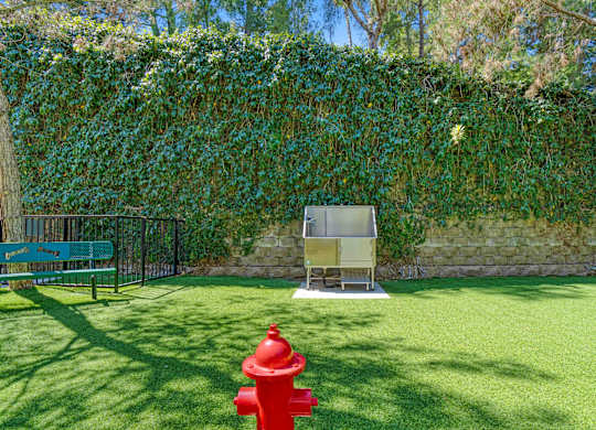A red fire hydrant is in the middle of a green lawn.