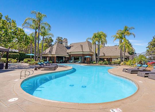 A large outdoor swimming pool surrounded by palm trees and lounge chairs.