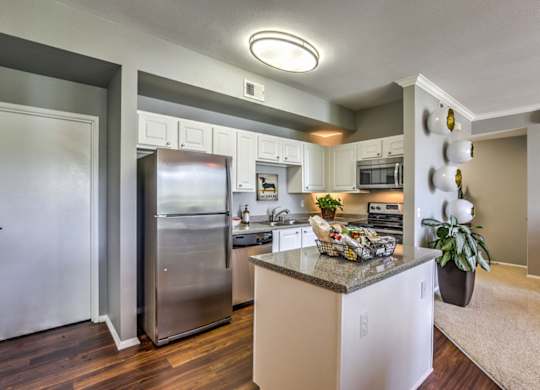 Model Kitchen