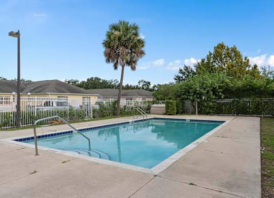 a swimming pool with a palm tree in front of a house at The Groves at Wimauma Apartments , Wimauma, FL, 33598