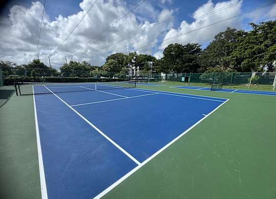 A pickle ball court with a blue surface and white lines.