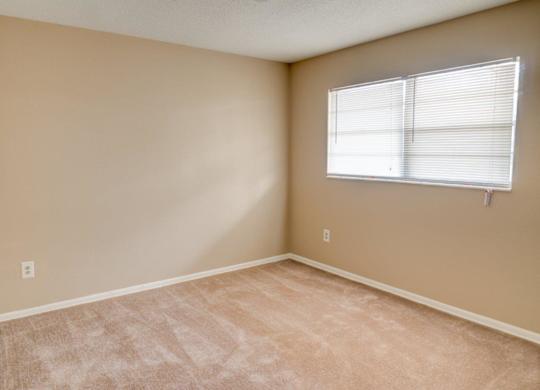 Wall-To-Wall Carpeting at Hibiscus Place Apartments, Orlando