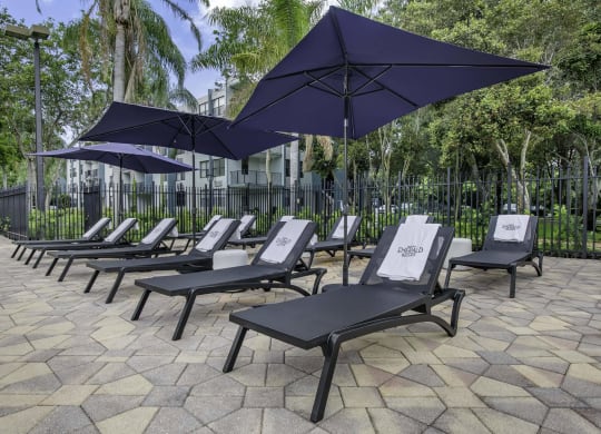 a row of lounge chairs with umbrellas in front of a fence  at Club at Emerald Waters, Hollywood