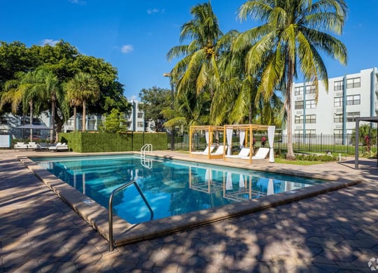 a swimming pool with palm trees in the background  at Club at Emerald Waters, Hollywood, FL