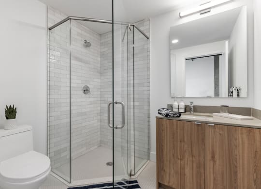 Beautiful glass walk-in shower.