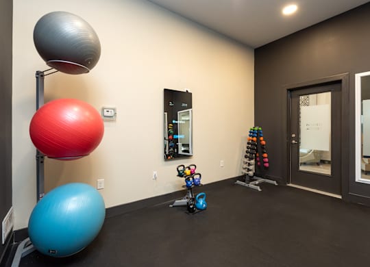 A room with a blue exercise ball, a red exercise ball, a grey exercise ball, and a pair of blue dumbbells.