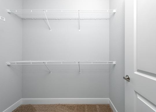 A white closet with a carpeted floor and a white door.