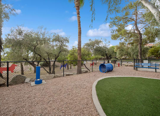 Community Dog Park with Agility Equipment at Crystal Creek Apartments located in Phoenix, AZ.